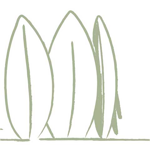 Logo Natural Surf Lodge